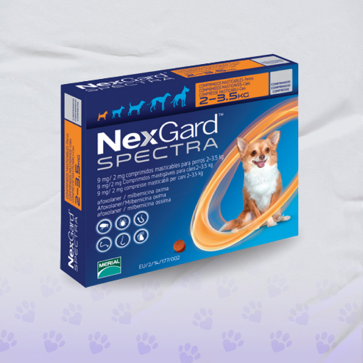 Imagen de Nexgard SPECTRA XS unidad (2-3,5kg)